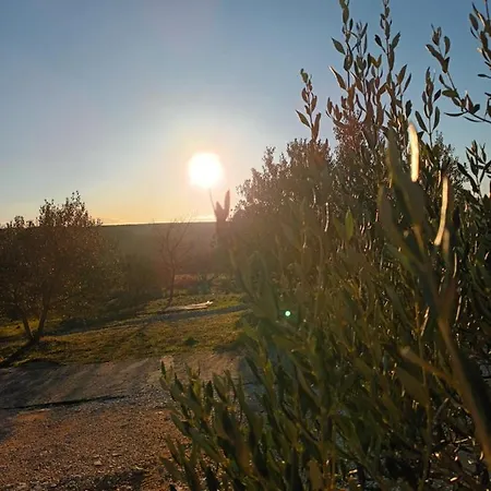 Apartman Skradin * סקארדין