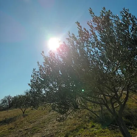 Apartman Skradin Apartment *