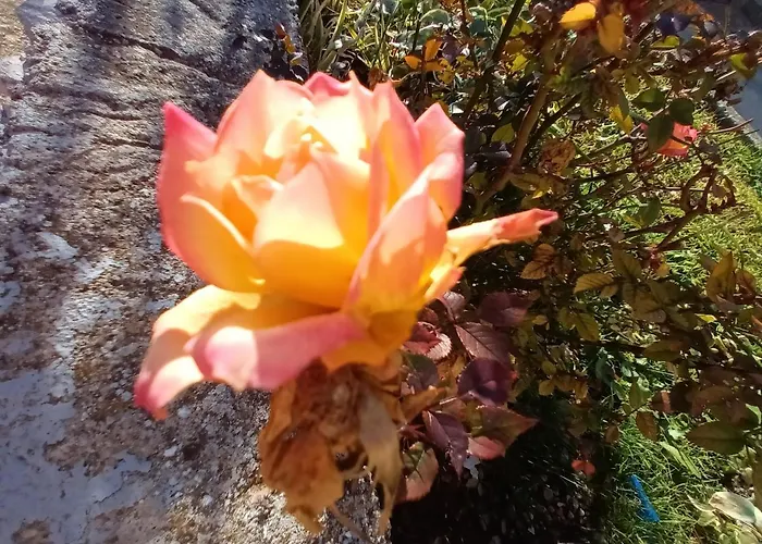 Apartman Skradin * Skradin