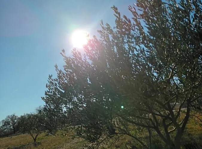 Apartman Skradin Appartement *